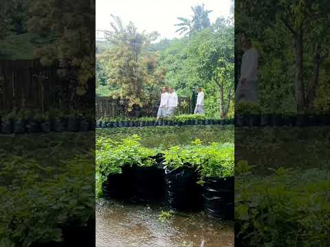 kata-mutiara-kebelet