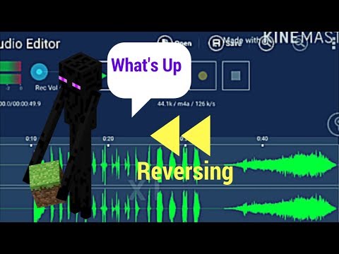 Reversing the Enderman sound (Language Revealed!?)