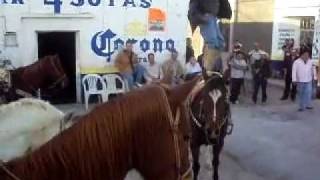 preview picture of video 'La Purisima, Durango, Mex. (Baile arriba del caballo)'