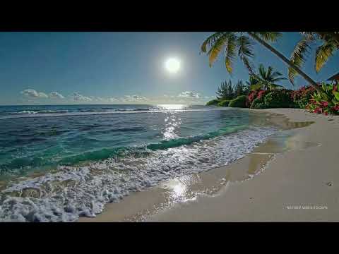 Focus 🎯 Barbados West Coast Caribbean Sea Vibe Ocean Sounds | Sleep • Study | 12h • 4K | 🌴🌊