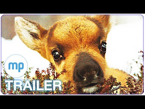 AILOS REISE Trailer Deutsch German (2019)