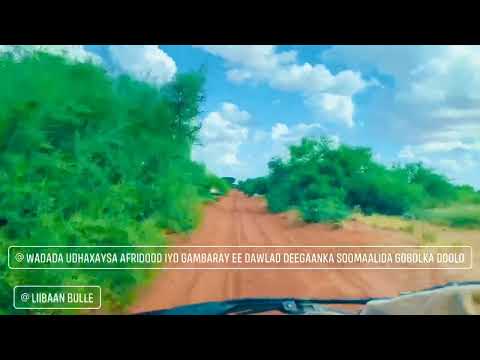 Carro Mareexaan ee Gobolka Doollo, Ethiopia