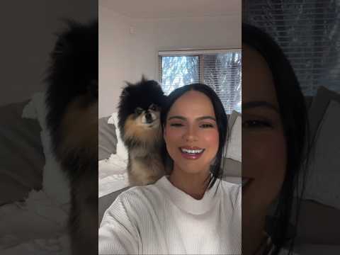 I Taught My Tiny Dog The Selfie Trick 📸🥰 #shorts #pomeranian