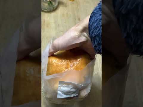 園芸 キノコはどうやって食べるの?