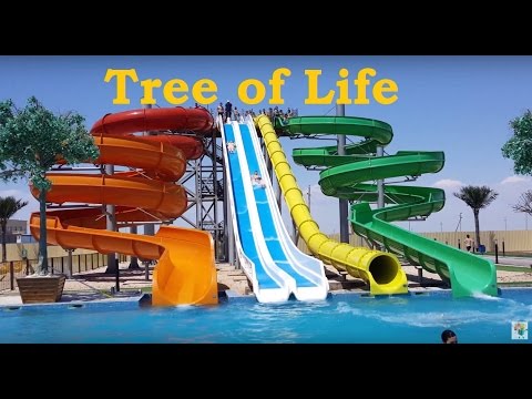 Актау tree of life. Смотреть фото Актау tree of life. Смотреть картинку Актау tree of life. Картинка про Актау tree of life. Фото Актау tree of life Актау tree of life. Смотреть фото Актау tree of life. Смотреть картинку Актау tree of life. Картинка про Актау tree of life. Фото Актау tree of life