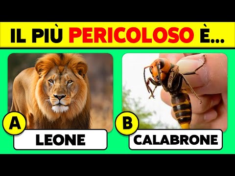 🧠 Quanto conosci bene gli ANIMALI? 🦁🐘✅ Quiz di Quiz di Cultura Generale