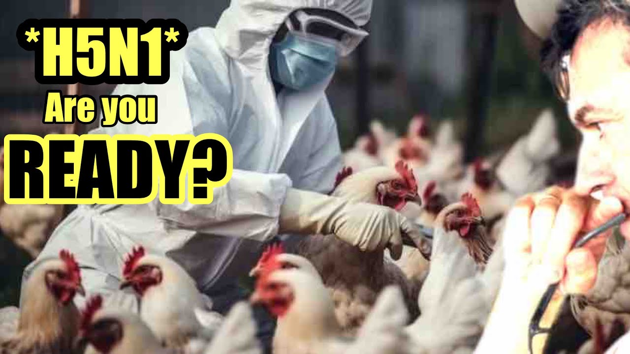 Ya tenemos CMX2026 para MARZO Estás preparado? Se está repitiendo TODO!