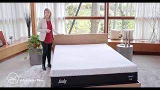 Sealy Conform Performance Fondness Cushion Firm