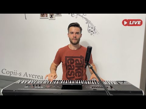 Marius Gurău - Copii-s averea