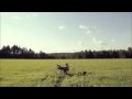IDIOT WIND - Try To Bend a River 