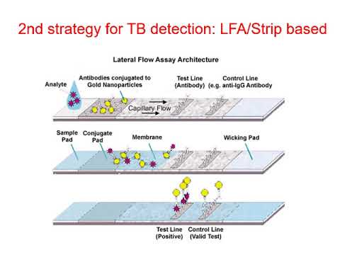 Biosensor sense and sensibility