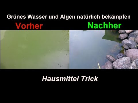 Schmerzmittel Kerzen an den Gelenken Wie wunden unteren Rücken nach Kaiser