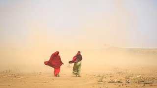 Did the Emergency Response to Droughts in Ethiopia Meet its Goals & the Needs of Affected People?