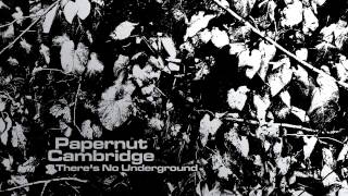 11 Papernut Cambridge - Winter Sunset's Gone [Gare du Nord Records]
