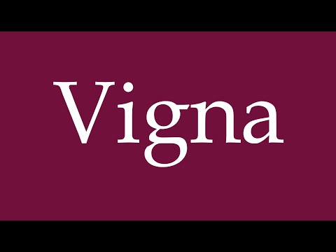 How to Pronounce ''Vigna'' Correctly in German