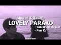 Kathmandu Sukedharako Lovely Parako Reverb Slowed Yubaraj Chaulagain Rina KC KUSHALSONI T5m