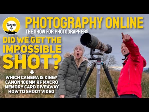 King of Detail | Almost Impossible Photography | How to Shoot Video | Canon 100mm RF Macro