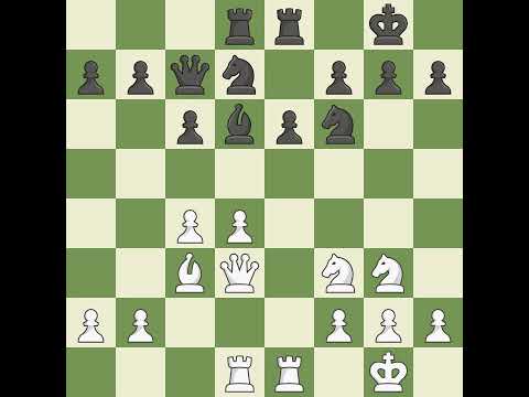 Muller Hans (AUT) VS Honlinger Baldur (AUT)