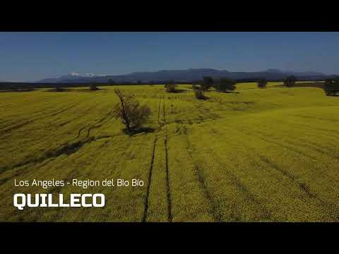 QUILLECO -  Los Angeles, Region del Bio Bío - DroneView