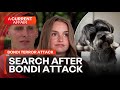 Desperate Search For Matcha After Bondi Attack A Current Affair