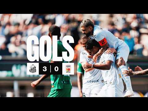 Gols e melhores lances de Santos x União São João-SP