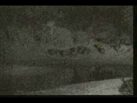 9.11.07 3.08am WildEarth Buffalo's, lions in the area pt2