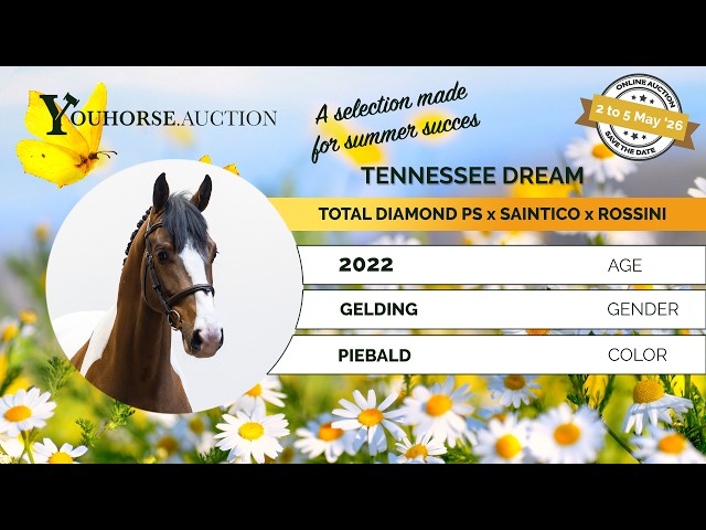 Tenessee Dream