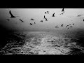 Hammock - Floating Away in Every Direction