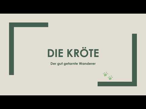 Die Kröte einfach und kurz erklärt