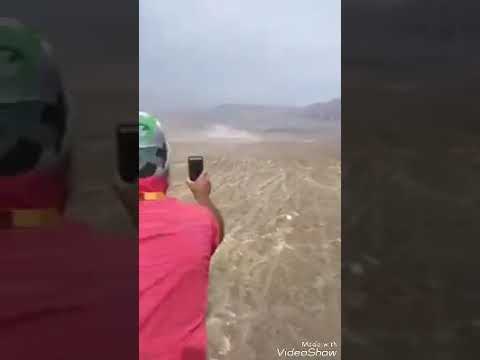 This is Dakar !!! Pato Silva  Dakar 2018