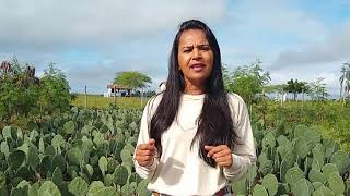 Miniatura do vídeo