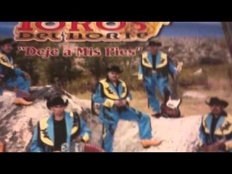 Deje a mis pies Los Toros del Norte