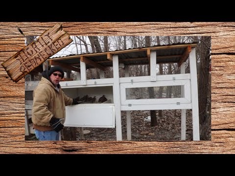 YouTube video about: How to protect rabbits from predators?