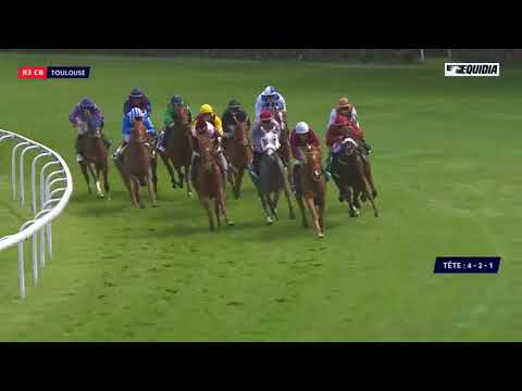 01/06 TOULOUSE: Prix Fedora - Wathba Stallions cup