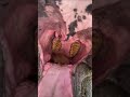 Elephant Eating Cook Apple