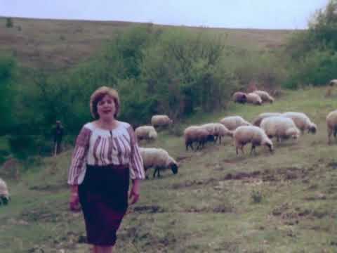 Васка Илиева - Овца рогуша (1980)