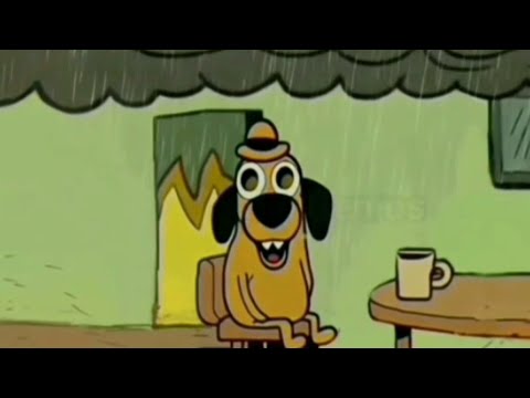 Finally!!!,Dog This Is Fine Meme Got Saved 😳