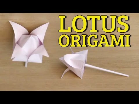 3D paper lotus фотка