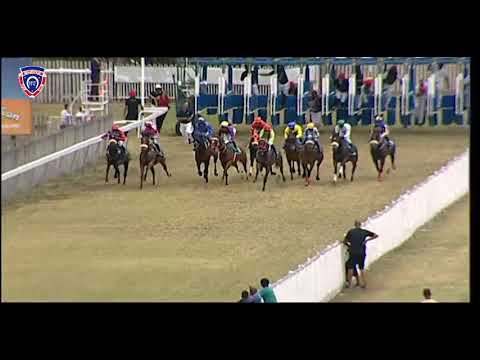 RM32 R5 | Rap Attack | M.Nunes