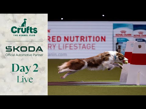 Day 2 LIVE | Crufts 2024