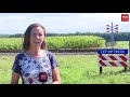 Waarom is er nu wel ineens een oplossing voor spoorwegovergang Hooghalen?