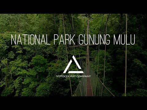 National Park Gunung Mulu, Borneo