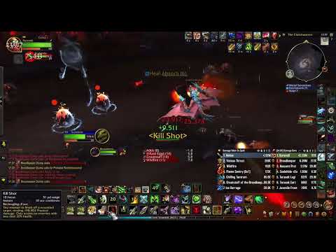 Hunter solo - Durendil vs Broodkeeper Diurna