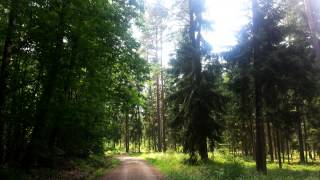 preview picture of video 'Wandern Franken: Heroldsberg_Sebalder Wald'