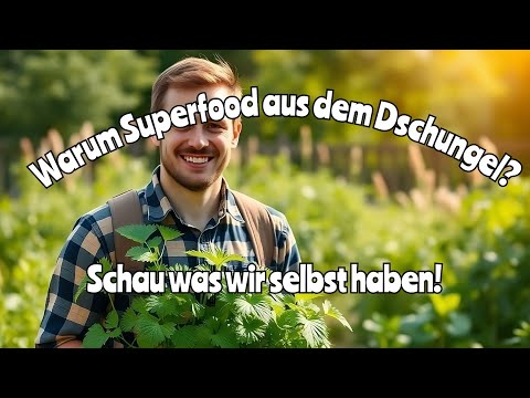 Dieses unterschätzte Kraut schlägt jedes Superfood – und wächst direkt vor deiner Tür!