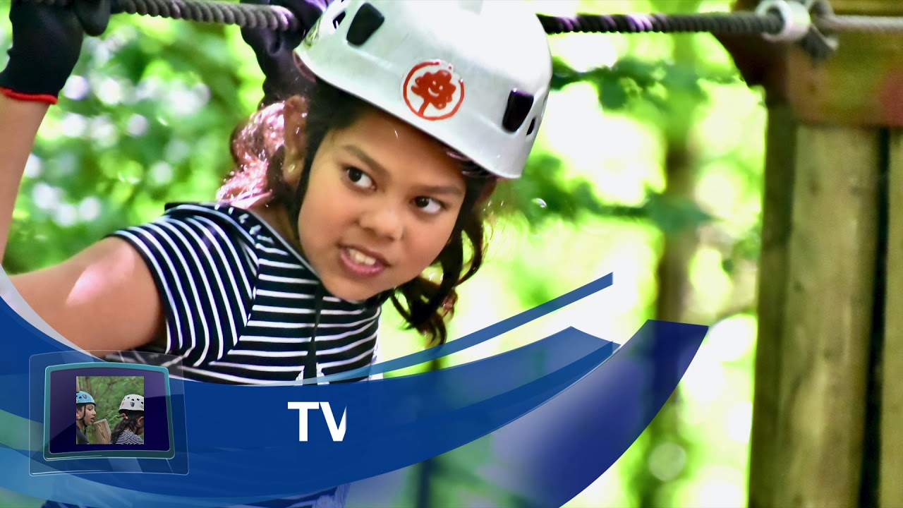 Fun 'Forever' Forest 