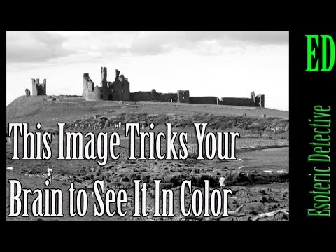 This Image Tricks Your Brain to See It In Color