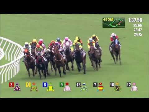 19/6/2022 (751) Turf Brilliant - Matthew Chadwick