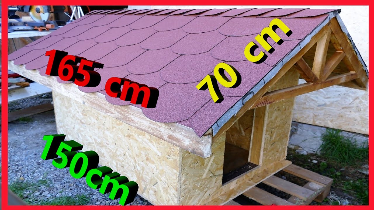 Budowa Budy Dla Psa XXL Krok Po Kroku