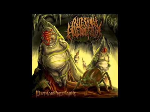 Intestinal Alien Reflux - Benzodiazipine Ingurgitation (NEW VOCALIST ROUGH TRACK)